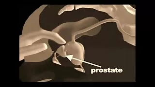 Çok sexi türbanlı porno yaramaz kızlar