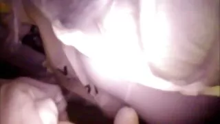 İki sıcak cuties oral seks paylaşmak türbanlı sevişme videoları