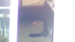 Dosya S66 porno sex turban 3-04-2017 Bölüm 2